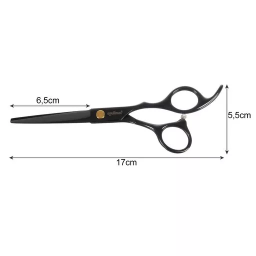 Professzionális Fodrászolló 17 cm 