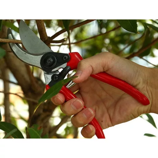 Kovácsolt acél kézi metszőolló, ergonomikus markolattal, biztonsági zárral ágak és cserjék metszéséhez.