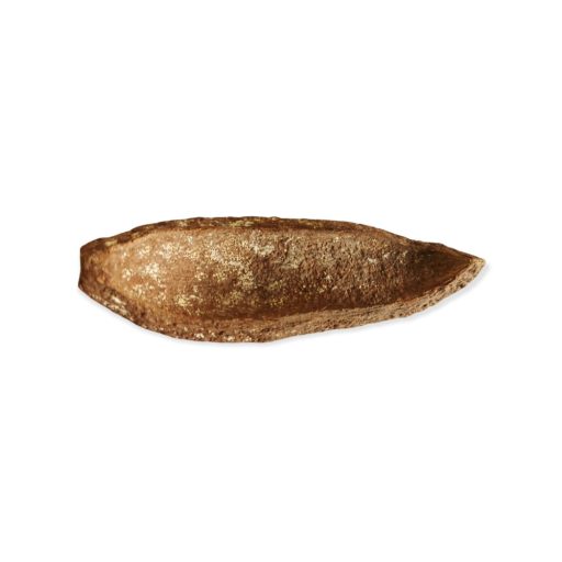 Dekor szárított termés