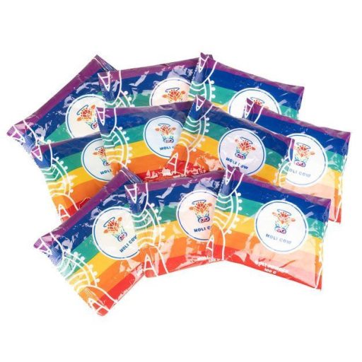 Színes Holi Por Készlet – 10x100g