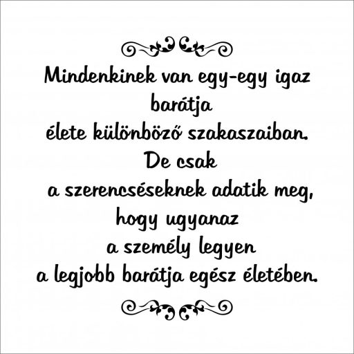 Póló - Mindenkinek van egy-egy igaz  barátja...