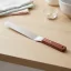 Rozsdamentes konyhai kenőkés és spatula süteményekhez, 26,5 x 3 cm
