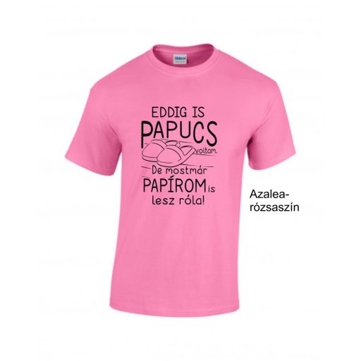 Póló - Eddig is papucs voltam...legénybúcsú