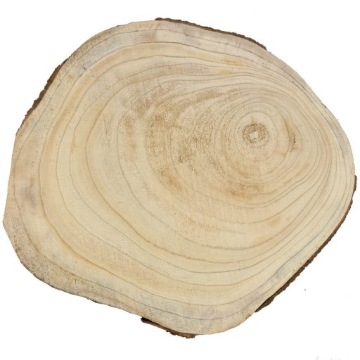 Rönk Fa szelet, nagy - kb. 40 x 2-3 cm