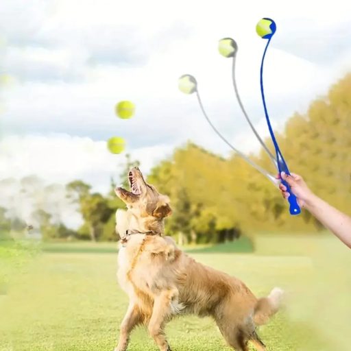 NUXIE labda eldobó kutyajáték, 48 cm-es műanyag kilövő kar, labdával