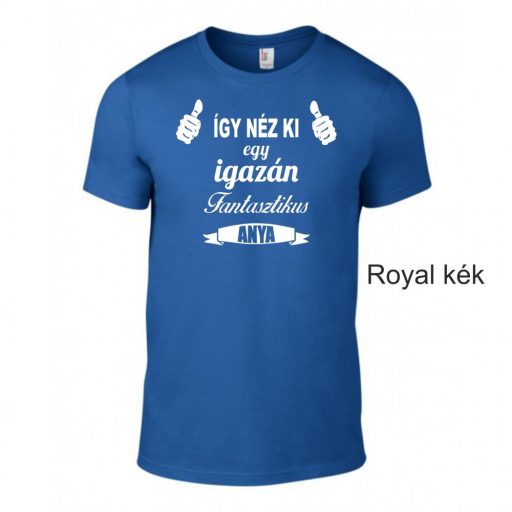 Póló - Így néz ki egy igazán fantasztikus anya