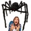 Óriás Tarantula pók Dekoráció