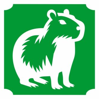 5x5 cm-es Csillámtetoválás sablon - Capybara 90