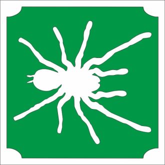 5x5 cm-es Csillámtetoválás sablon - Madárpók 139