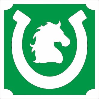 5x5 cm-es Csillámtetoválás sablon - Ló patkóval 289