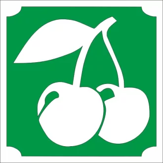 5x5 cm-es cseresznye mintás csillámtetoválás sablon