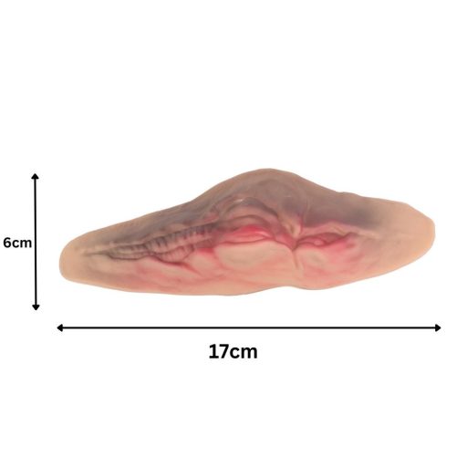 Elvágott torok seb 10ml művérrel készlet