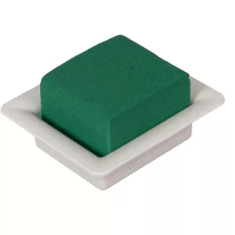 Flóra tál oázis - 12 cm